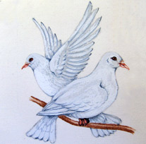 doves painting